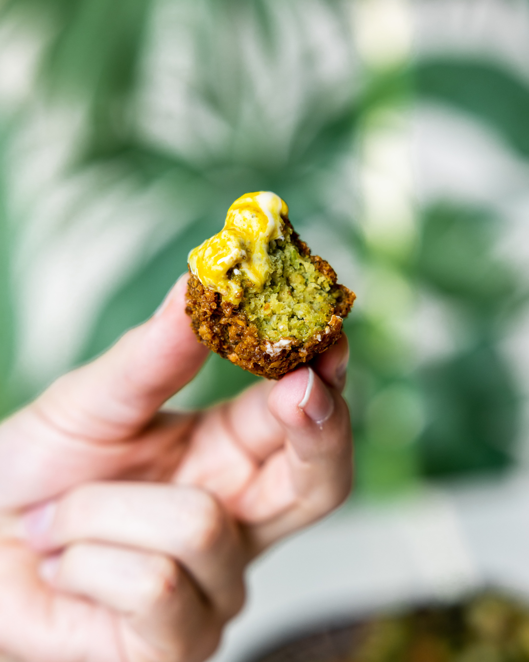 Falafel & Hummus